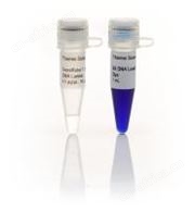 GeneRuler 1 kb DNA Ladder