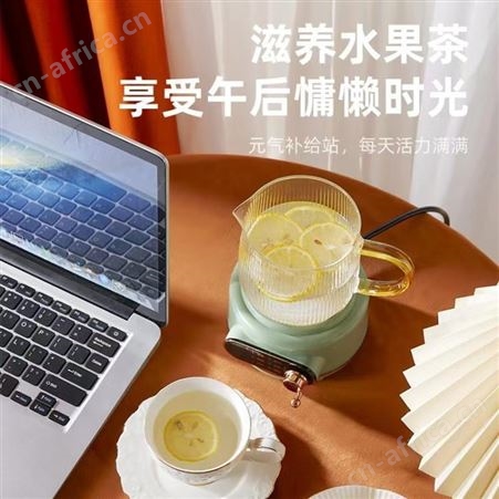 多功能养生杯加热迷你办公室小型电炖养生壶玻璃多功能烧水煮花茶