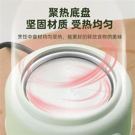 多功能养生杯加热迷你办公室小型电炖养生壶玻璃多功能烧水煮花茶