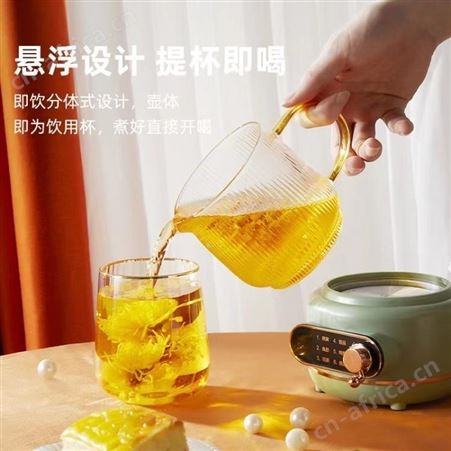 多功能养生杯加热迷你办公室小型电炖养生壶玻璃多功能烧水煮花茶