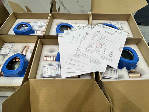 气体检测仪计量校准报告 气体检测仪计量校准报告