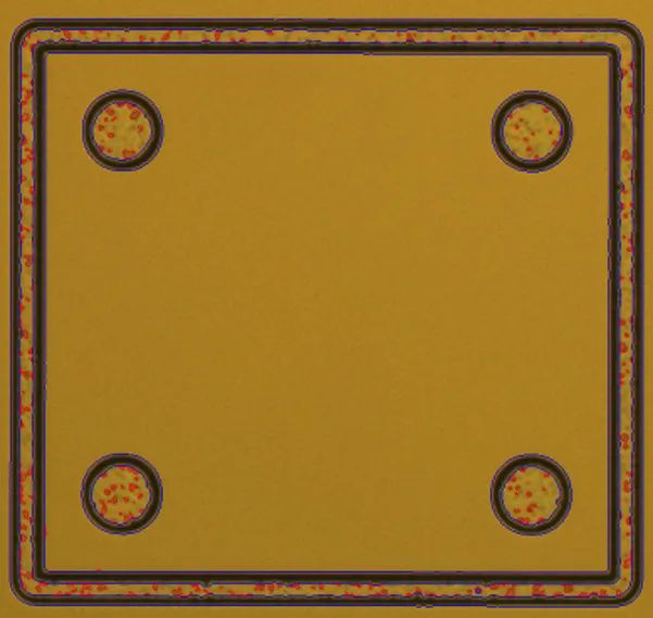 明视场检查.jpg