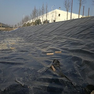 陕西莲藕防渗膜厂家(陕西莲藕防渗膜 厂家推荐)